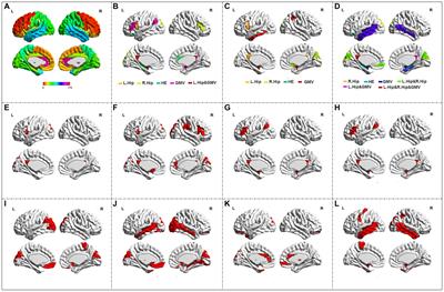 Identifying Alzheimer’s disease and mild cognitive impairment with atlas-based multi-modal metrics
